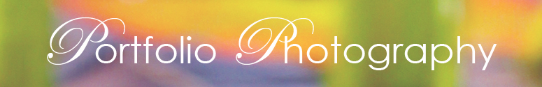 Portfolio Photography Logo